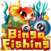 Bingo Fishing on jili333 slot app